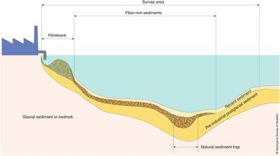 Assessing the Risk of Contaminant Dispersion From Fibrous Sediments of Industrial Origin